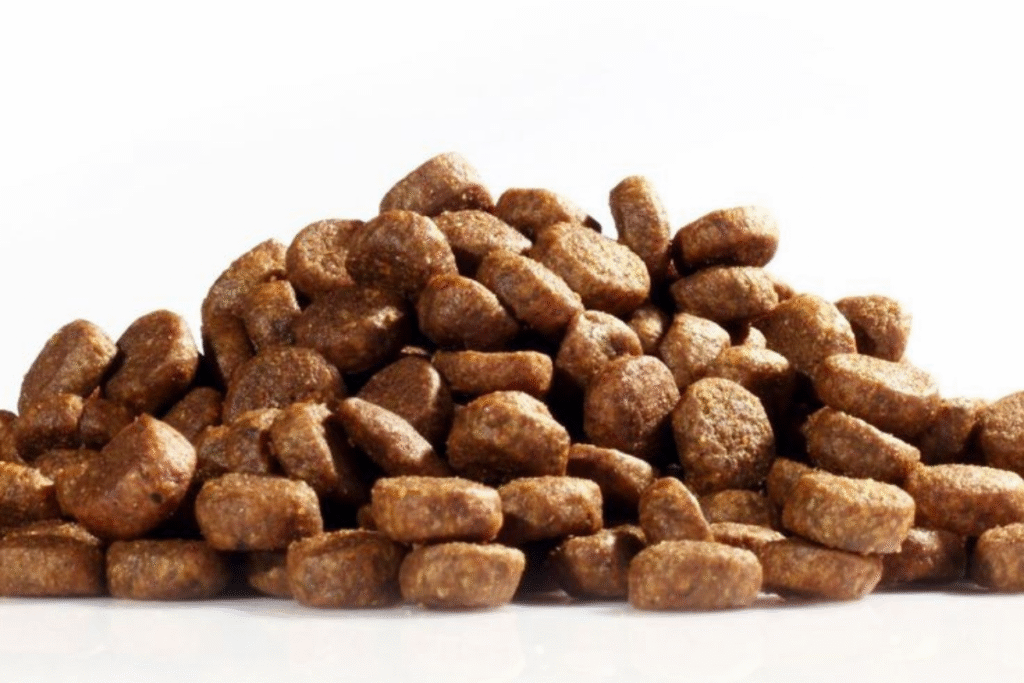 köpek maması çeşitleri en iyi köpek mamaları